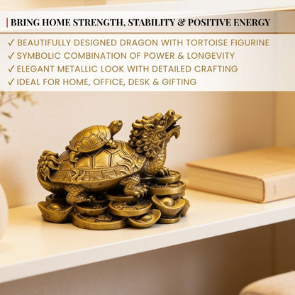Feng Shui Dragon With Tortoise - plusvalueindia