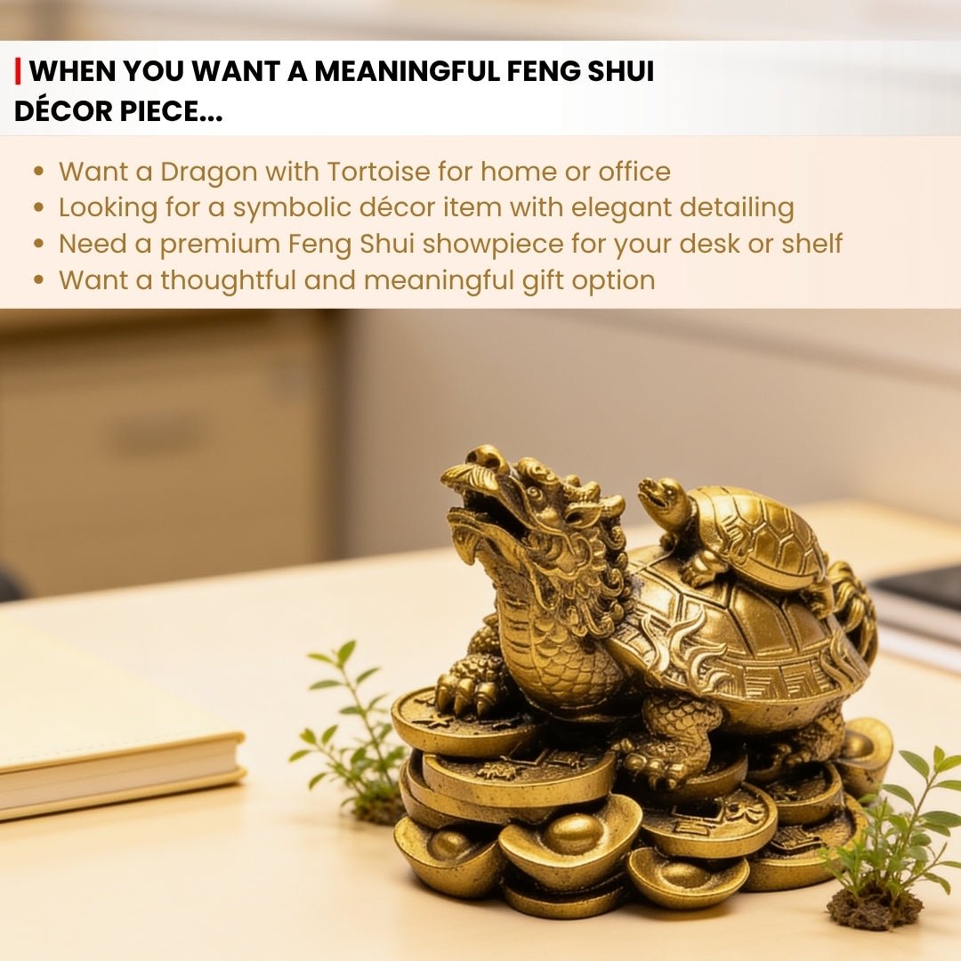 Feng Shui Dragon With Tortoise - plusvalueindia