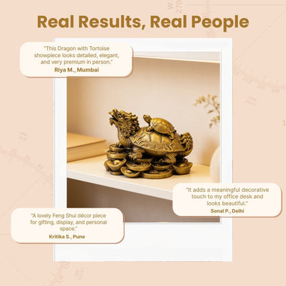 Feng Shui Dragon With Tortoise - plusvalueindia