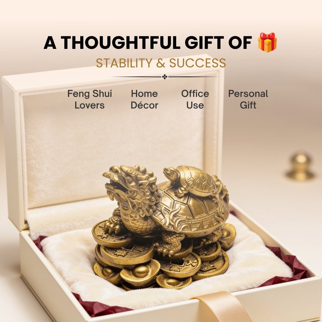 Feng Shui Dragon With Tortoise - plusvalueindia