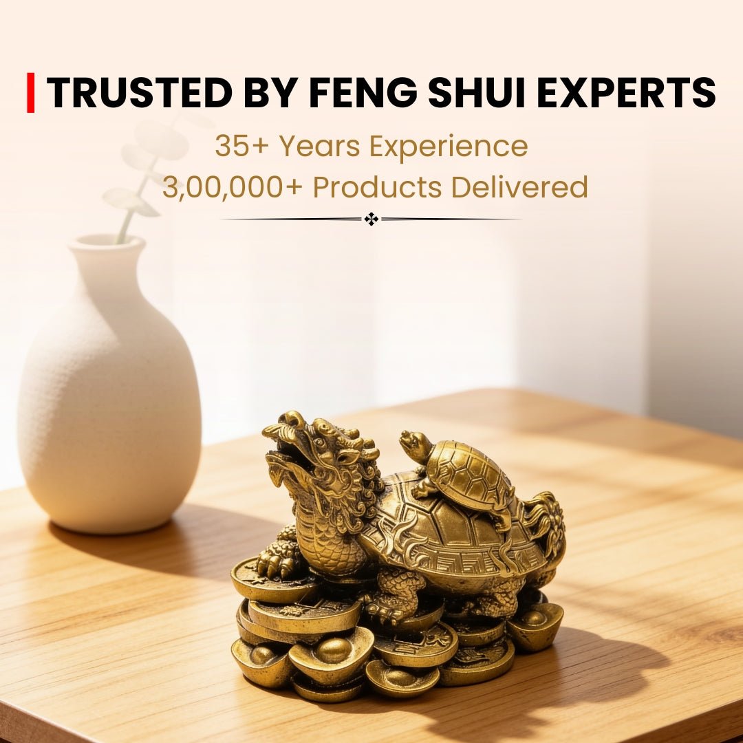 Feng Shui Dragon With Tortoise - plusvalueindia