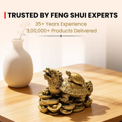 Feng Shui Dragon With Tortoise - plusvalueindia