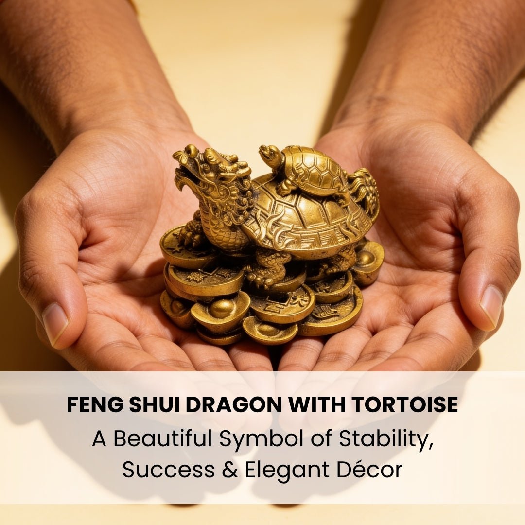 Feng Shui Dragon With Tortoise - plusvalueindia