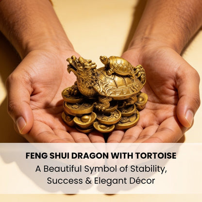 Feng Shui Dragon With Tortoise - plusvalueindia