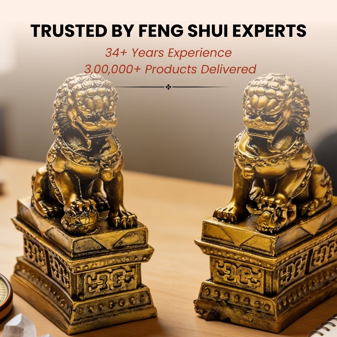 Feng Shui Fu Dogs Pair for Protection & Good Luck for Homes & Offices - plusvalueindia