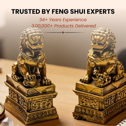 Feng Shui Fu Dogs Pair for Protection & Good Luck for Homes & Offices - plusvalueindia