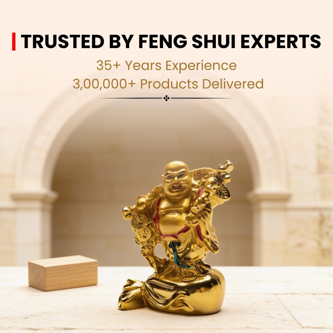 Feng Shui Laughing Buddha With Coin [Excellent for Gifting] - plusvalueindia