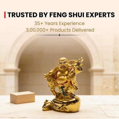 Feng Shui Laughing Buddha With Coin [Excellent for Gifting] - plusvalueindia