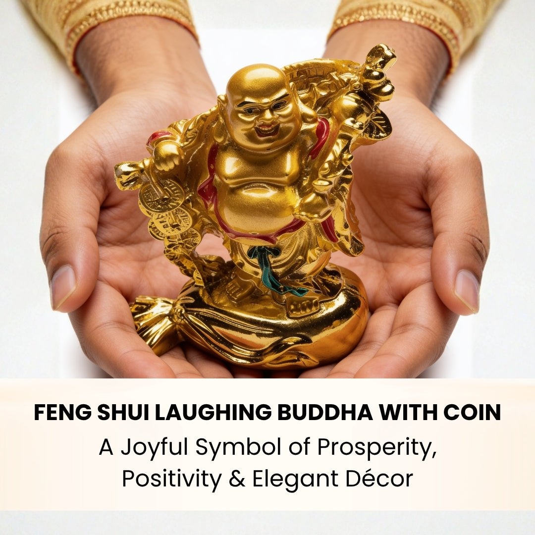 Feng Shui Laughing Buddha With Coin [Excellent for Gifting] - plusvalueindia