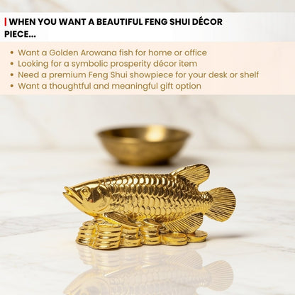 Feng Shui Lucky Golden Arowana Fish [Golden] - plusvalueindia