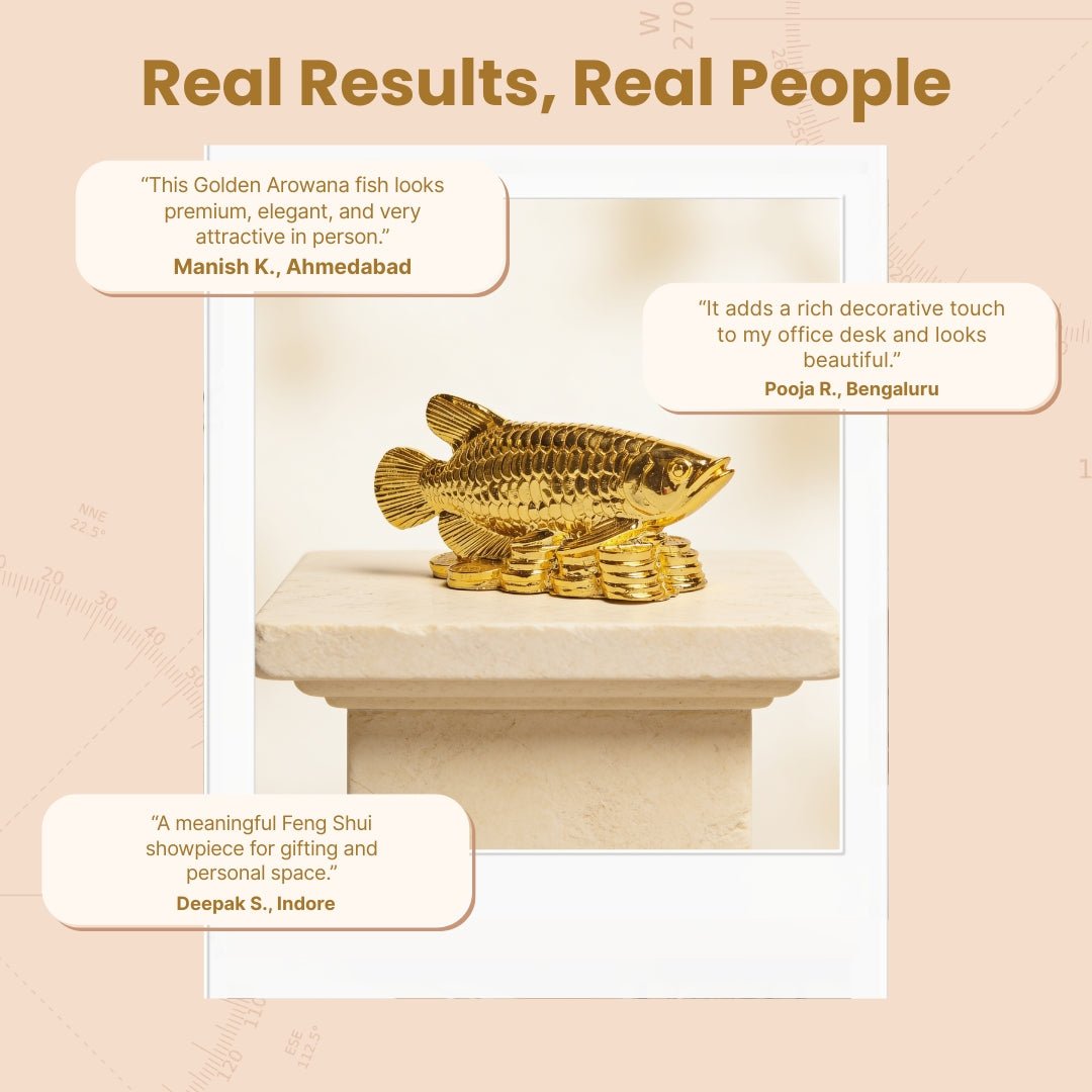 Feng Shui Lucky Golden Arowana Fish [Golden] - plusvalueindia
