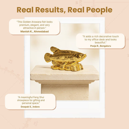 Feng Shui Lucky Golden Arowana Fish [Golden] - plusvalueindia