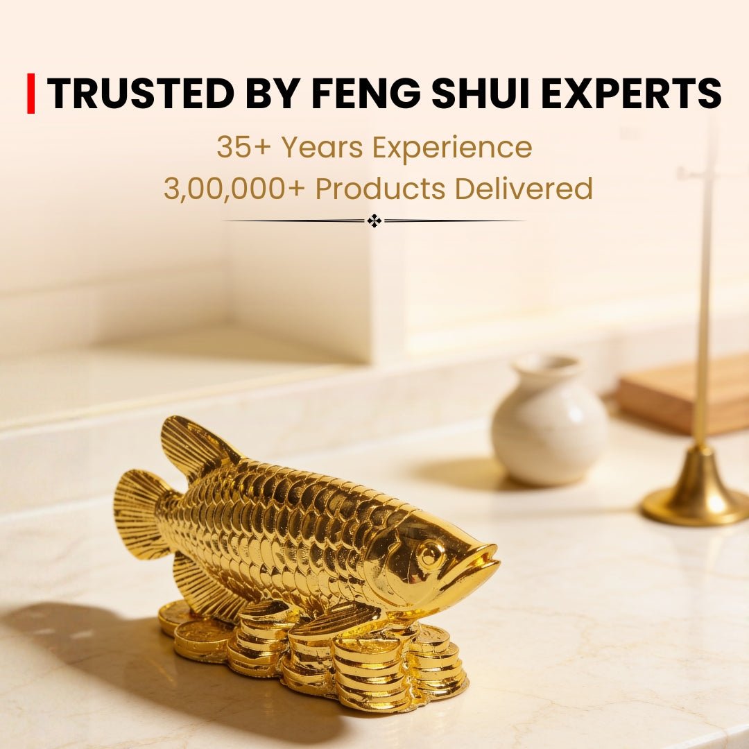 Feng Shui Lucky Golden Arowana Fish [Golden] - plusvalueindia