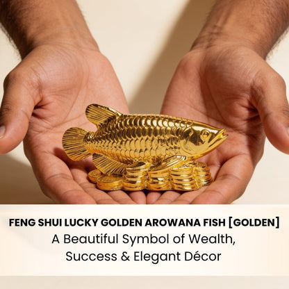 Feng Shui Lucky Golden Arowana Fish [Golden] - plusvalueindia