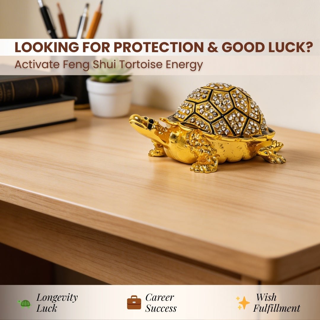 Feng Shui turtle with shell lifted to show the hidden wish-fulfilling compartment