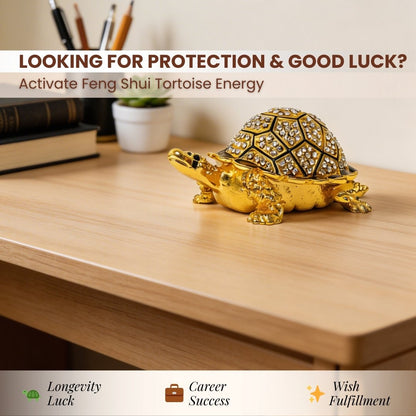 Feng Shui turtle with shell lifted to show the hidden wish-fulfilling compartment