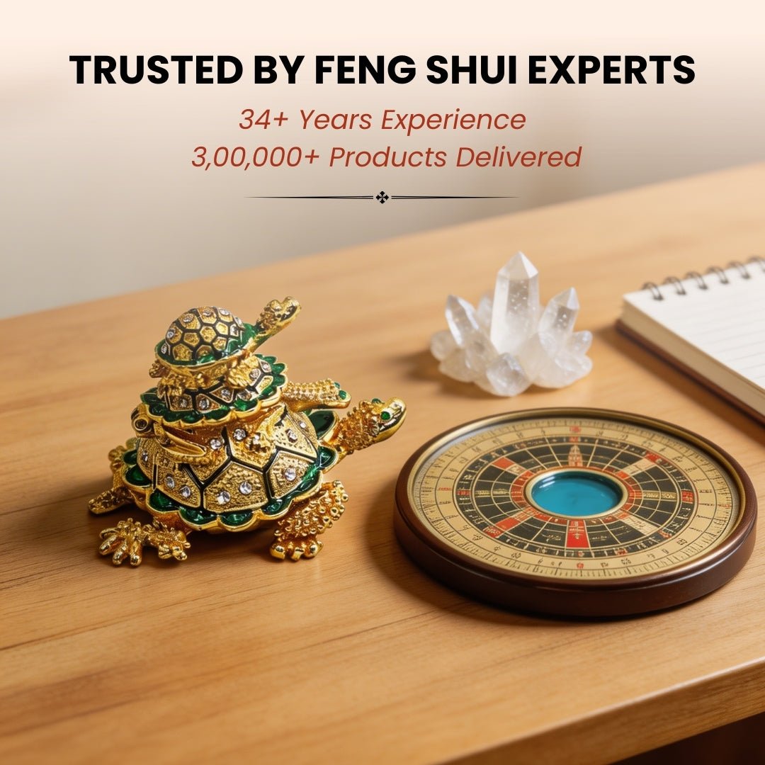 Feng Shui Vastu Personal Wish Fulfillment Tortoise Turtle Long Life - plusvalueindia