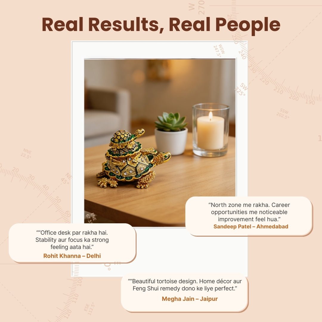 Feng Shui Vastu Personal Wish Fulfillment Tortoise Turtle Long Life - plusvalueindia