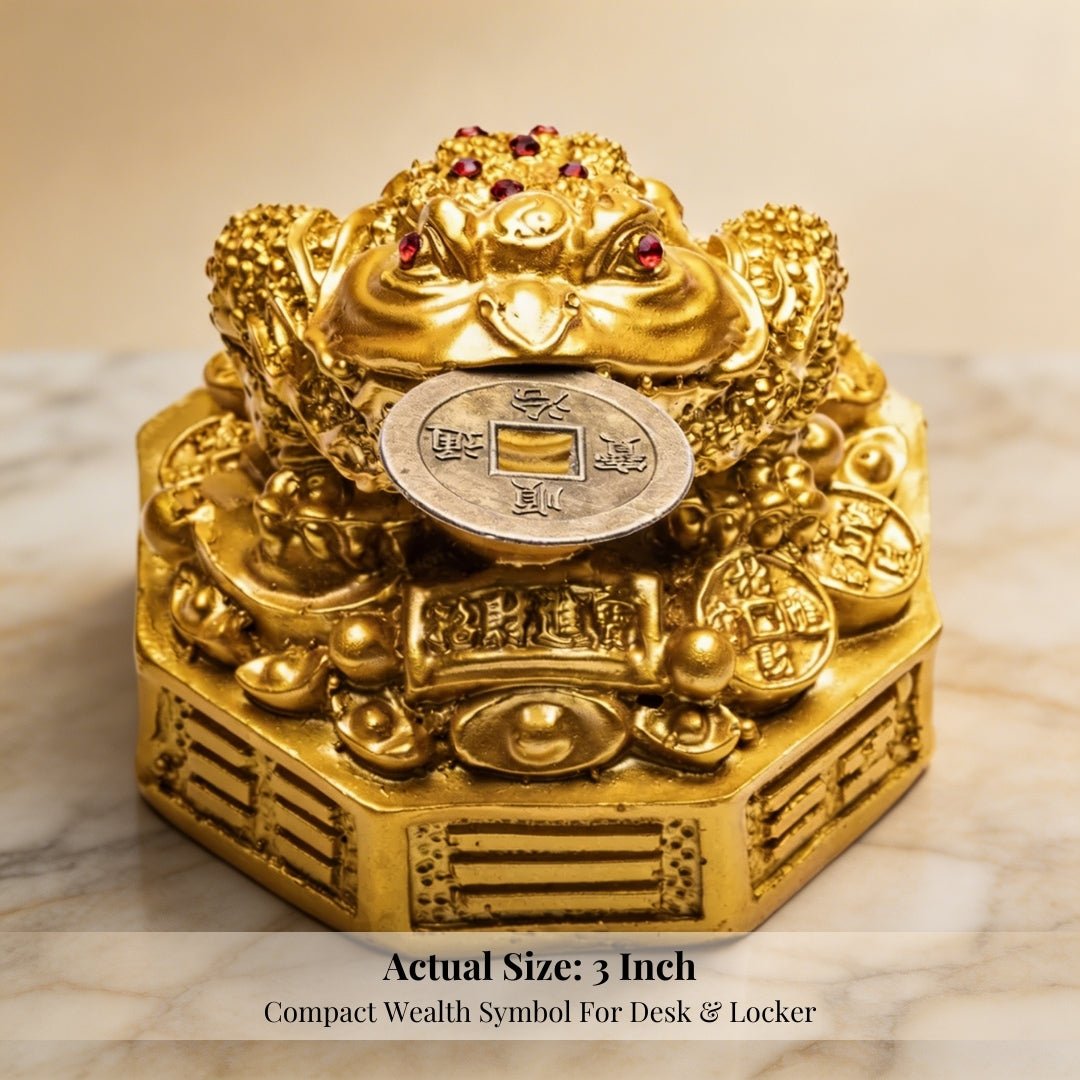 Fengshui Lucky Three Legged Feng Shui Money Frog Toad Good Luck, Wealth, Prosperity, Success, Happiness (Golden Colour) - plusvalueindia