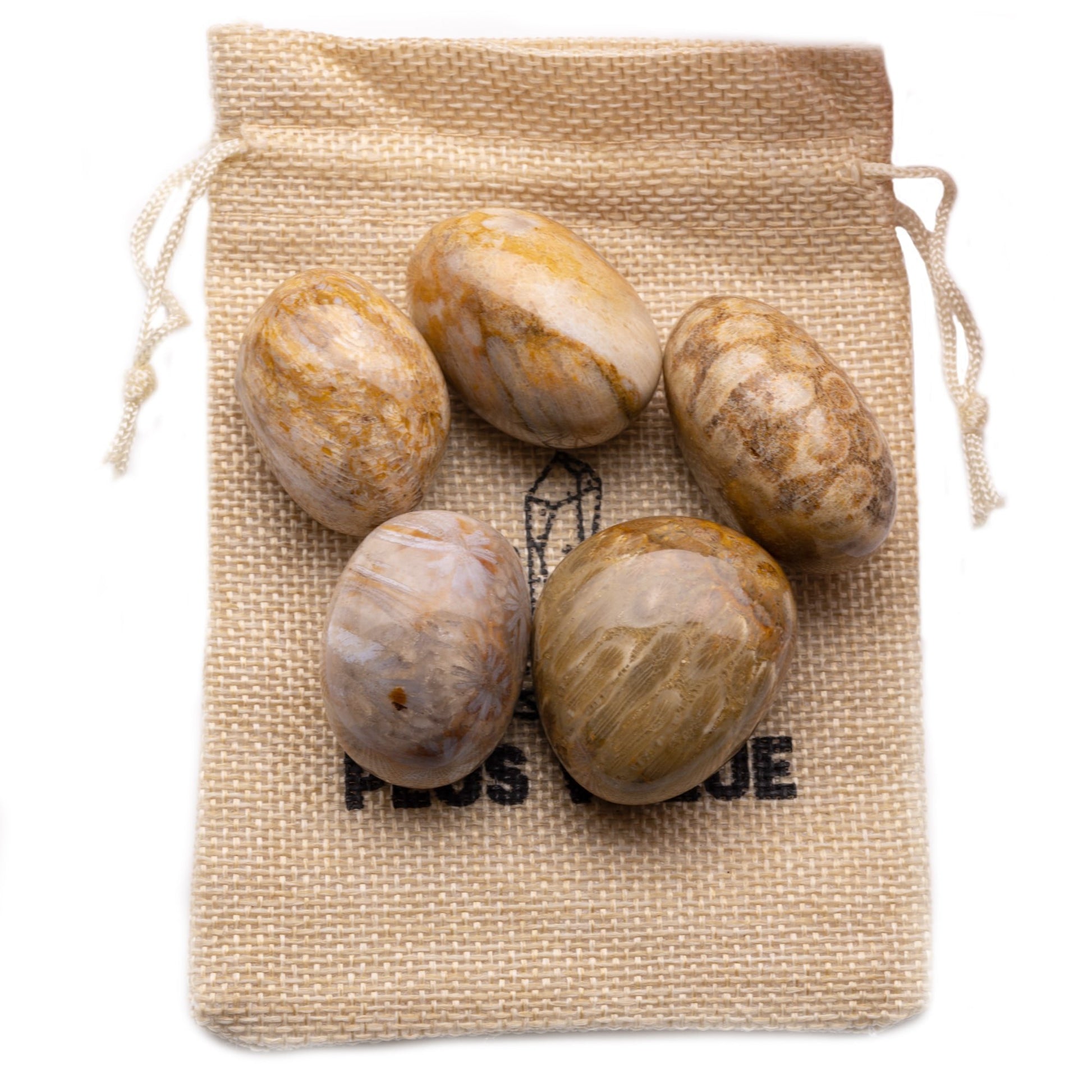 fossil coral tumble pebble stone 100gm jute bag