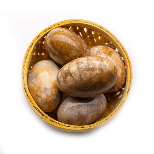 fossil coral tumble pebble stone 200gm basket