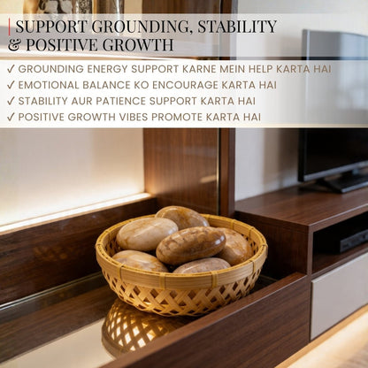 Fossil Coral Tumbled Stone Pebbles - plusvalueindia
