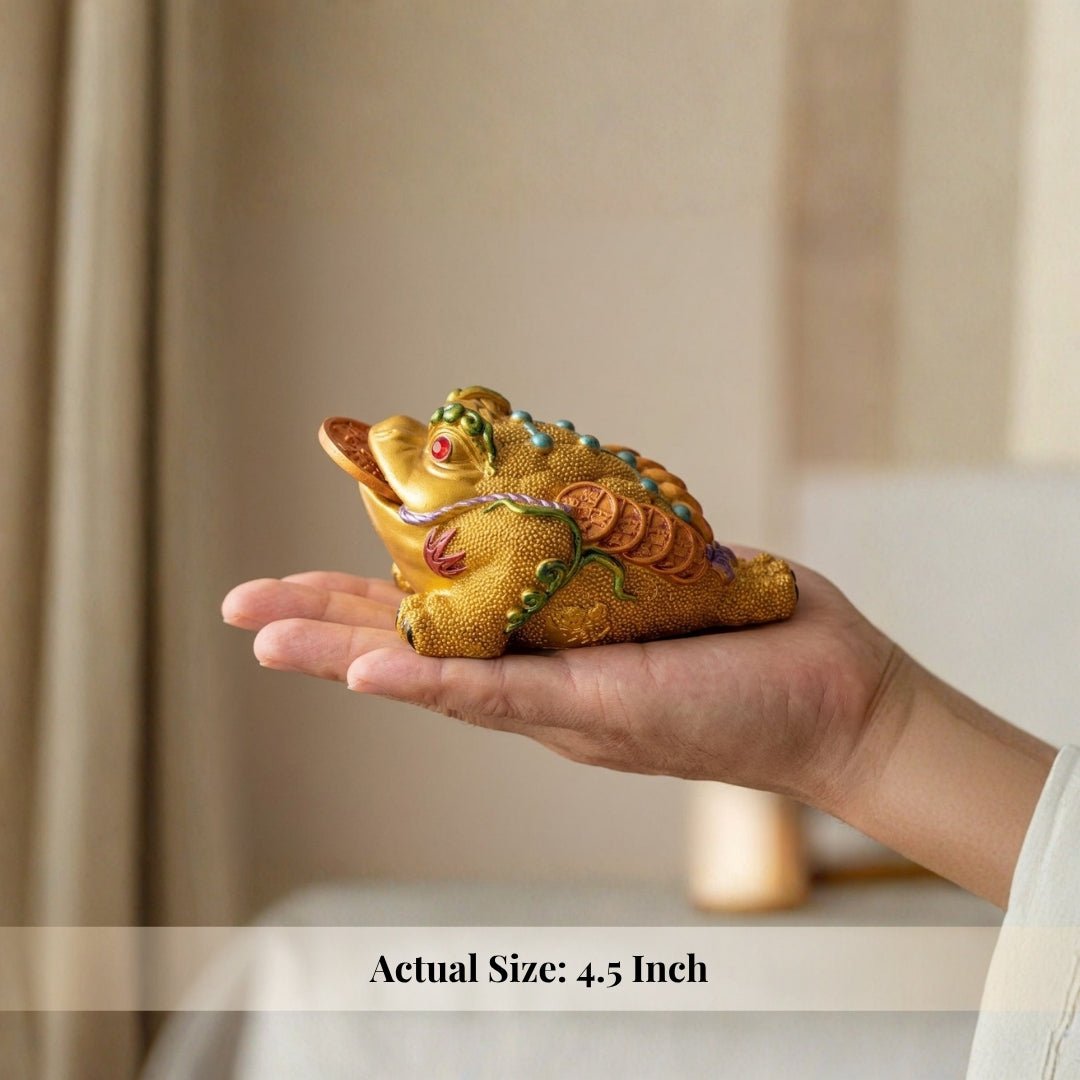 Feng Shui Frog - Toad Multi Colour With Coin - plusvalueindia