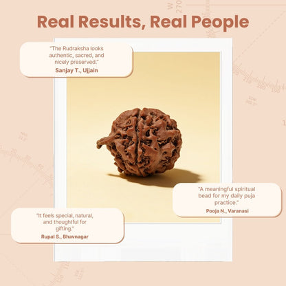 Ganesh Mukhi Original Rudraksha - plusvalueindia