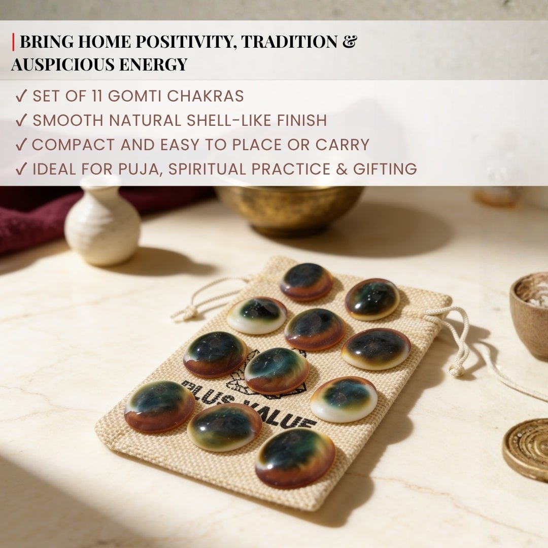 Gomti Chakra Set for Vastu - Rare Gomati Chakra for Wealth, Protection and Astrology Remedies, 11pcs - plusvalueindia