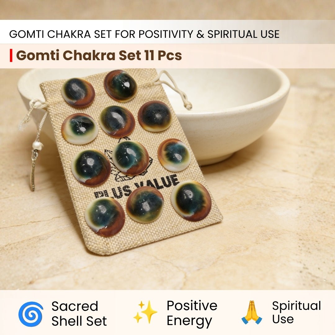 Gomti Chakra Set for Vastu - Rare Gomati Chakra for Wealth, Protection and Astrology Remedies, 11pcs - plusvalueindia