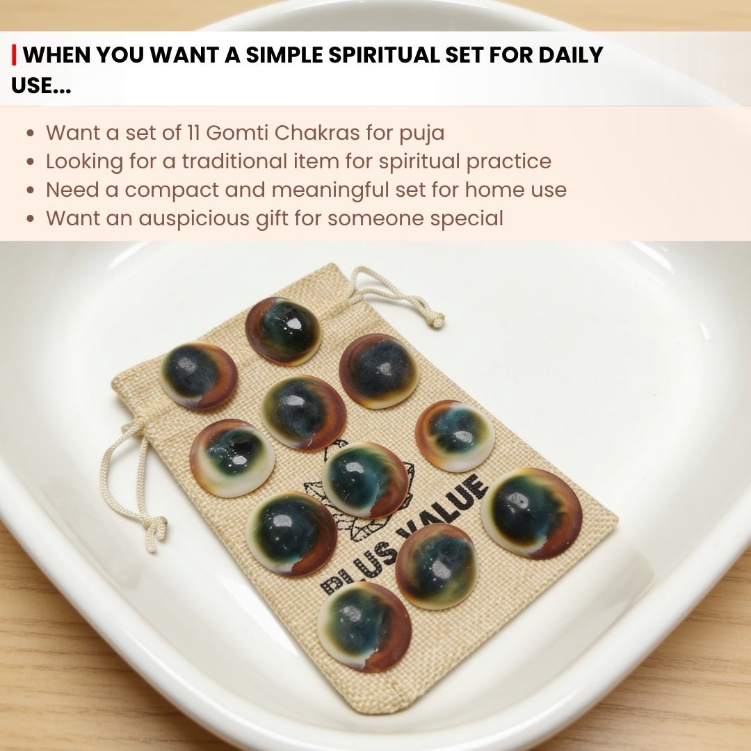 Gomti Chakra Set for Vastu - Rare Gomati Chakra for Wealth, Protection and Astrology Remedies, 11pcs - plusvalueindia