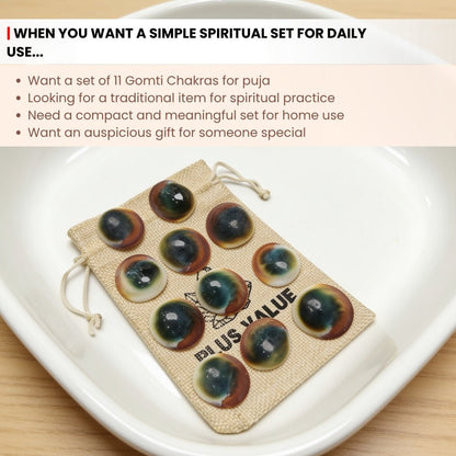 Gomti Chakra Set for Vastu - Rare Gomati Chakra for Wealth, Protection and Astrology Remedies, 11pcs - plusvalueindia