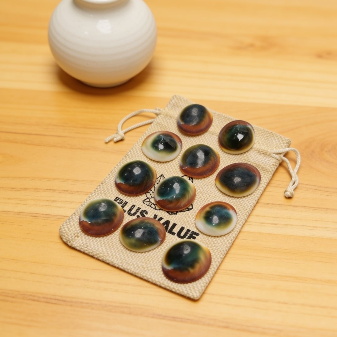 Gomti Chakra Set for Vastu - Rare Gomati Chakra for Wealth, Protection and Astrology Remedies, 11pcs - plusvalueindia