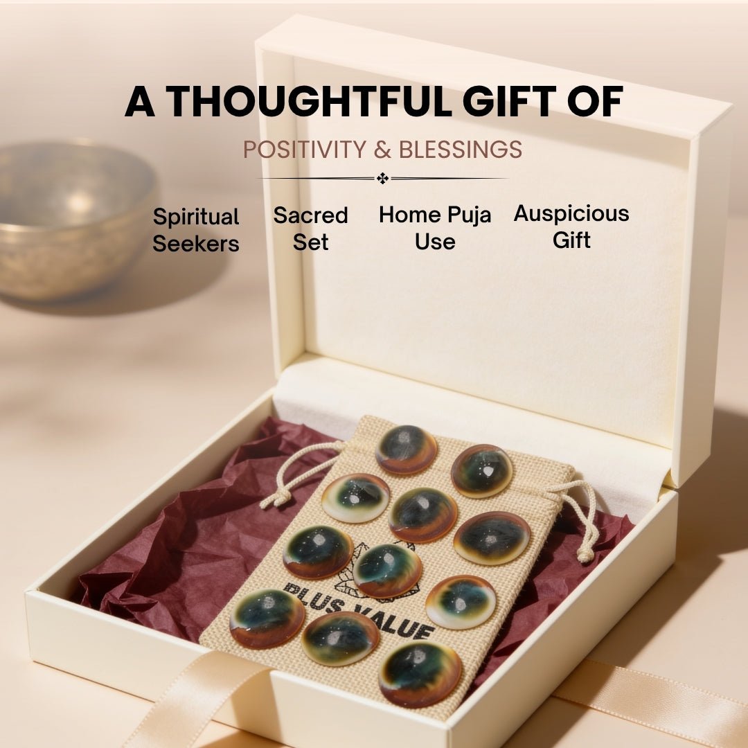 Gomti Chakra Set for Vastu - Rare Gomati Chakra for Wealth, Protection and Astrology Remedies, 11pcs - plusvalueindia
