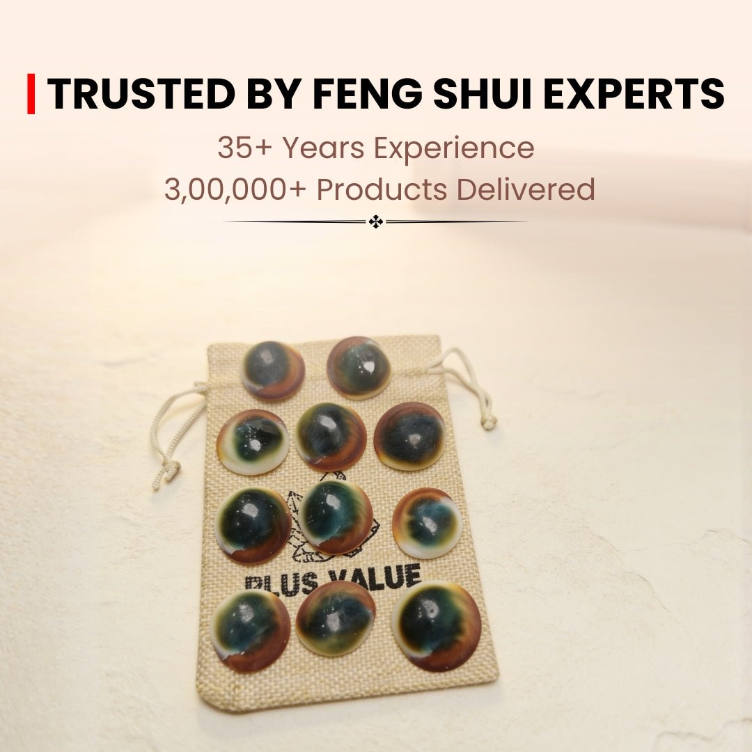 Gomti Chakra Set for Vastu - Rare Gomati Chakra for Wealth, Protection and Astrology Remedies, 11pcs - plusvalueindia