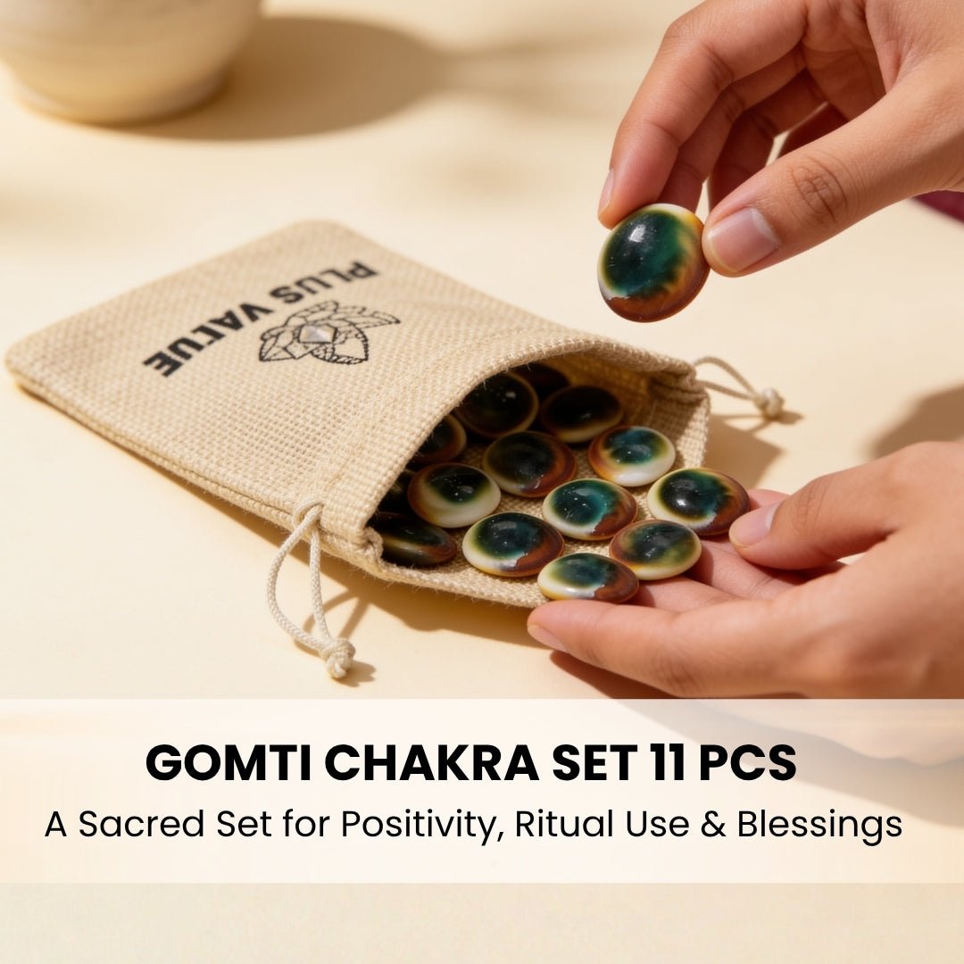 Gomti Chakra Set for Vastu - Rare Gomati Chakra for Wealth, Protection and Astrology Remedies, 11pcs - plusvalueindia