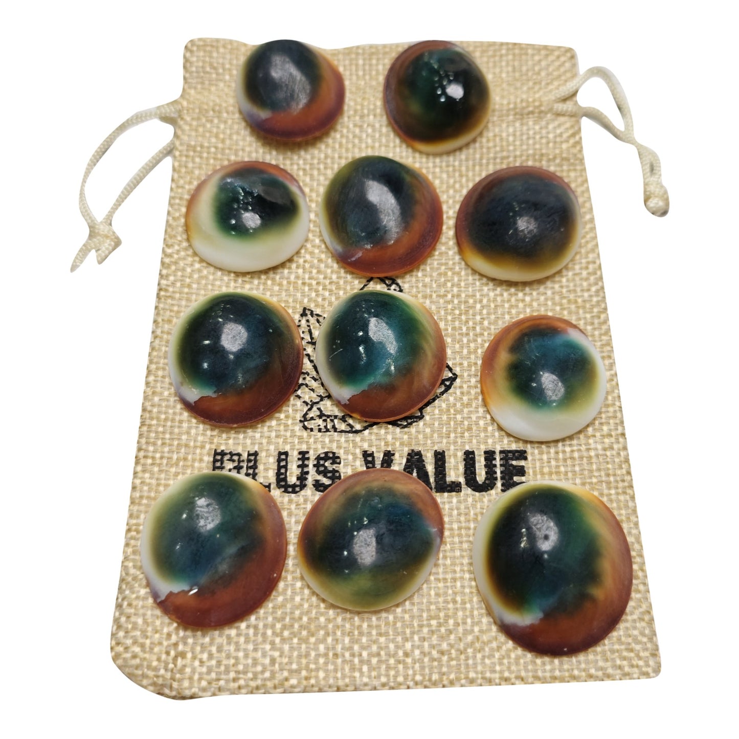 gomti chakra vastu product