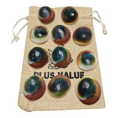 gomti chakra vastu product
