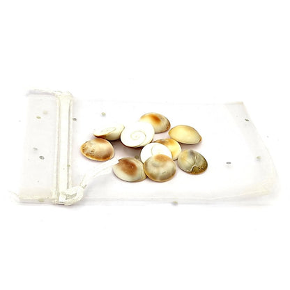 gomti gomati chakra vastu remedy product