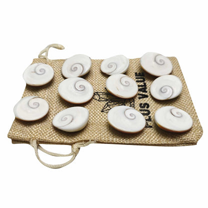 gomti chakra vastu remedy product