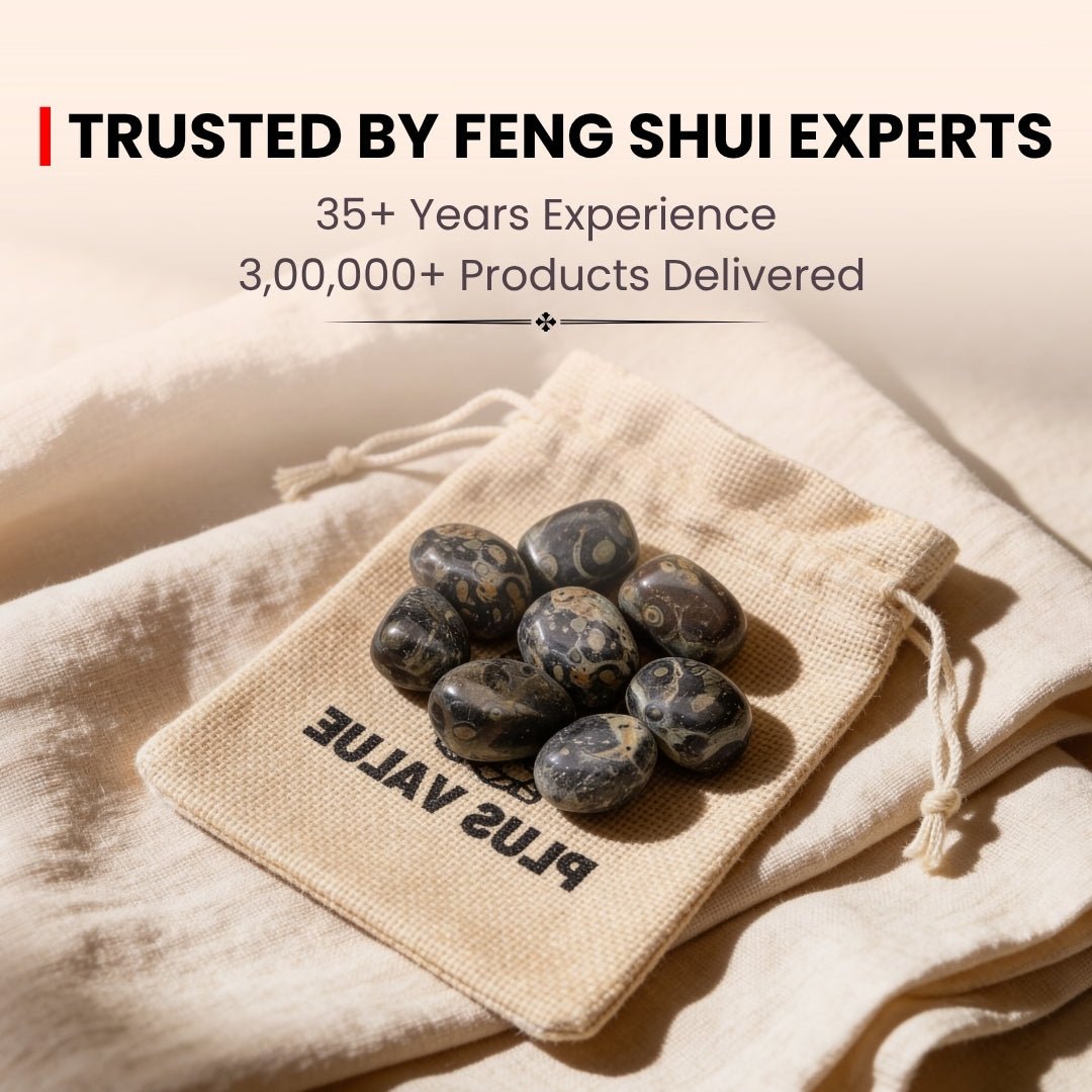 Kambaba Jasper Tumbled Stone Pebbles, product view 33