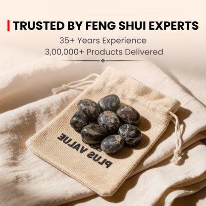 Kambaba Jasper Tumbled Stone Pebbles, product view 33