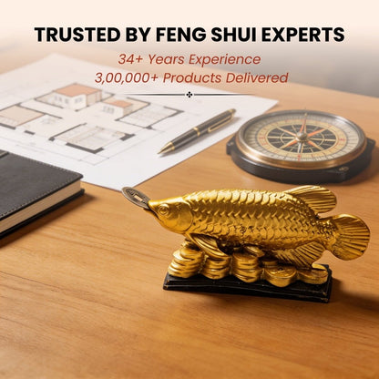 Lucky Feng Shui Golden Arowana Fish Statue for Protection & GoodLuck at Home and Office [Best Seller] - plusvalueindia