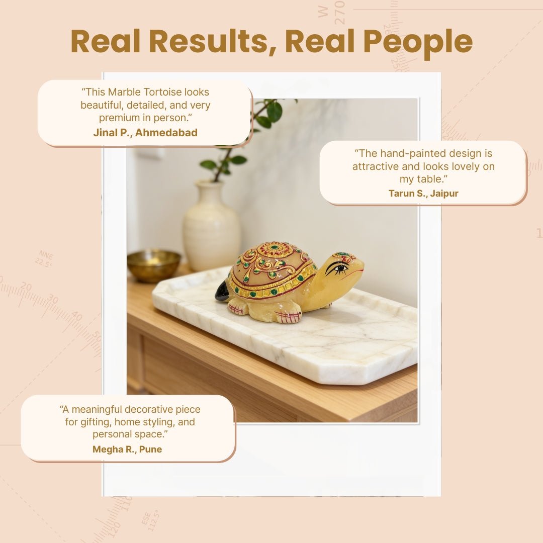 Beautiful Marble Tortoise 3" for Career and Job Opportunity - plusvalueindia