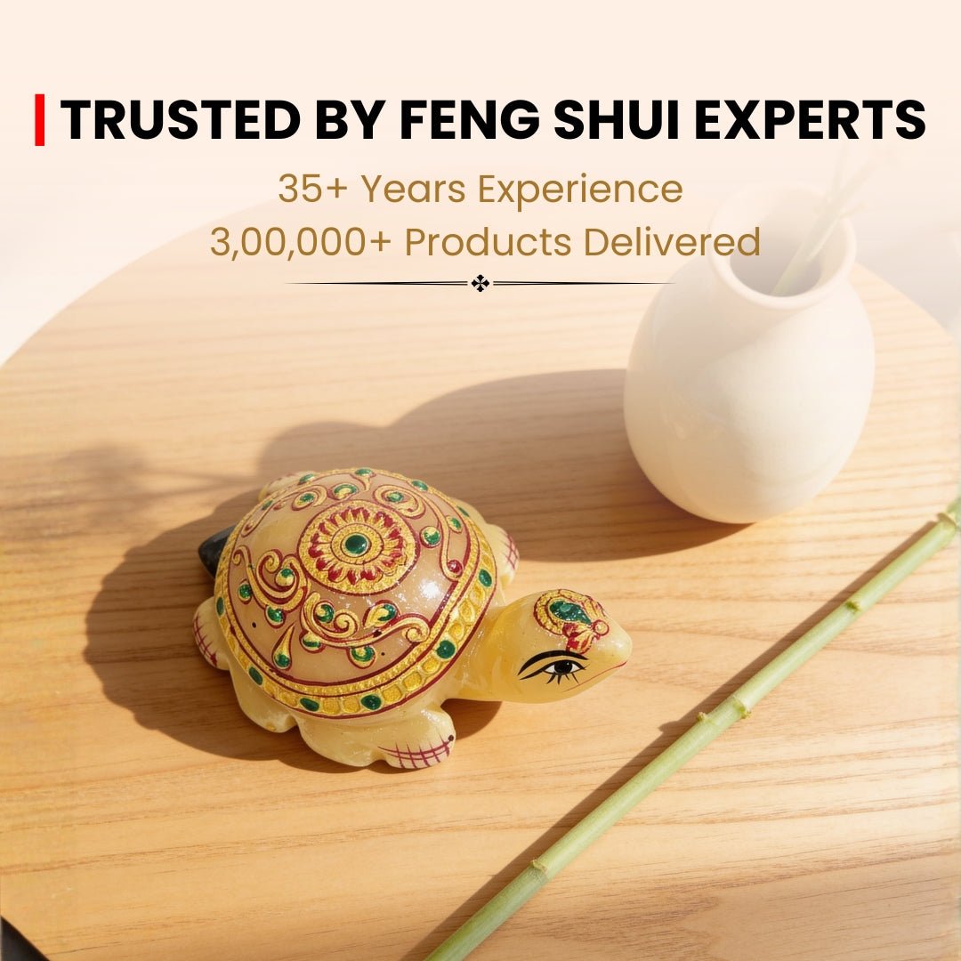 Beautiful Marble Tortoise 3" for Career and Job Opportunity - plusvalueindia