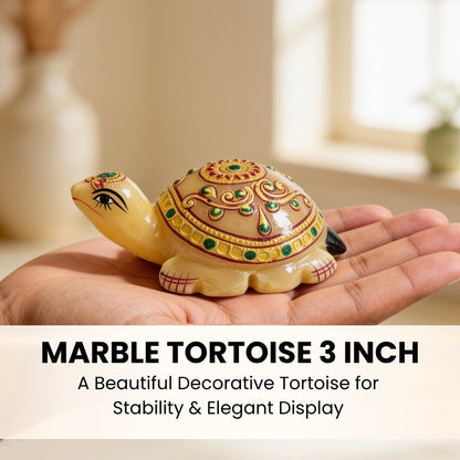 Beautiful Marble Tortoise 3" for Career and Job Opportunity - plusvalueindia