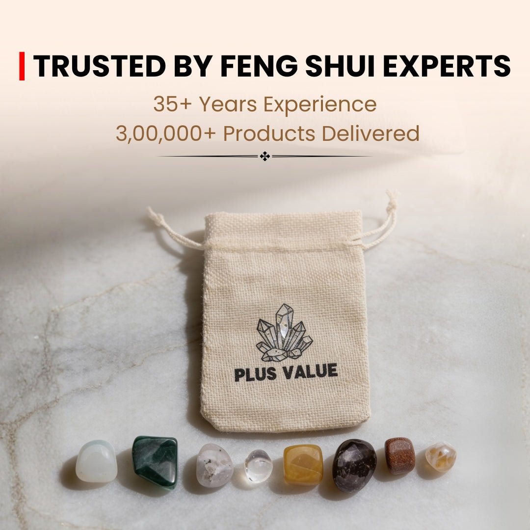 Money Crystal Bag - plusvalueindia
