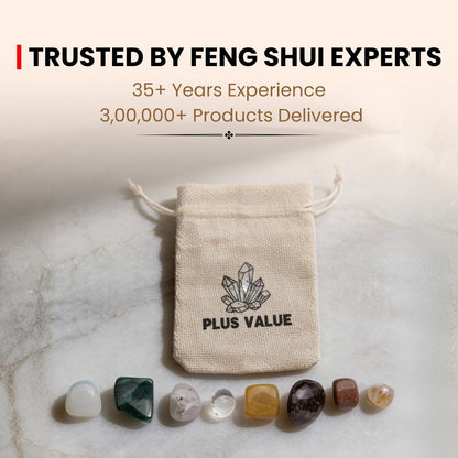 Money Crystal Bag - plusvalueindia