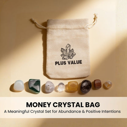 Money Crystal Bag - plusvalueindia