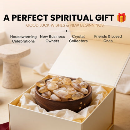 Generous double-hand scoop of smooth polished golden Citrine crystals showing substantial volume and finish